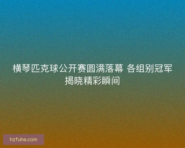 横琴匹克球公开赛圆满落幕 各组别冠军揭晓精彩瞬间